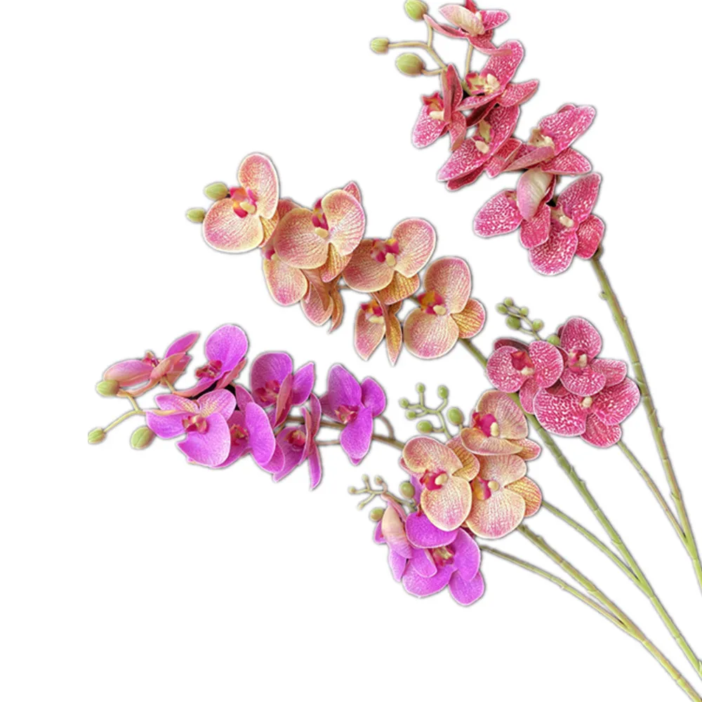 5p Dirbtinio Drugelio Orchidėjos Gėlių Stiebai Nekilnojamojo Touch 10 Galvų Phalaenopsis Orchidėjos Vestuvių Gėlių Centerpieces Apdaila